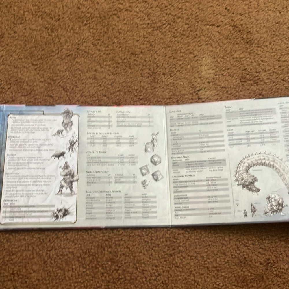 D&D Player's Handbook and Monster Manual Set - Picture 11 of 11